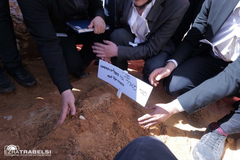 עזרא טרבלסי