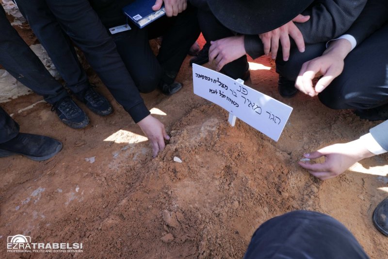 עזרא טרבלסי