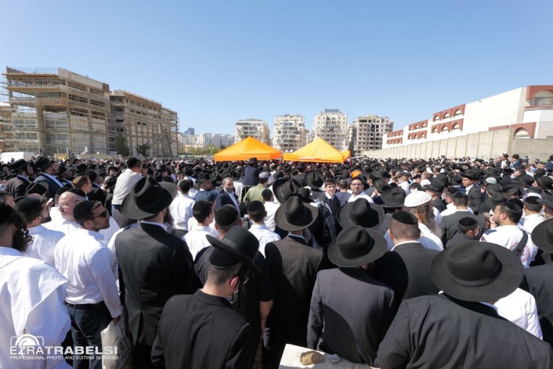 עזרא טרבלסי