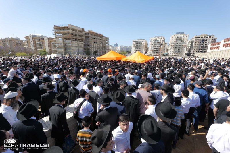 עזרא טרבלסי