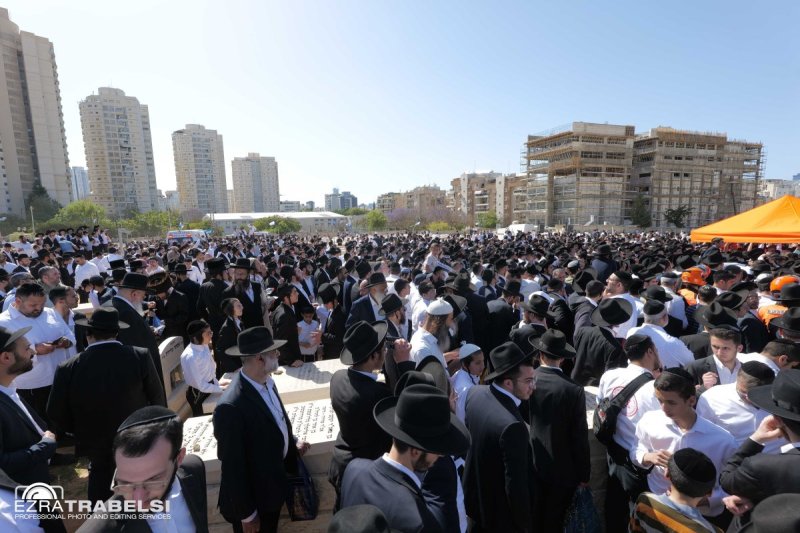 עזרא טרבלסי