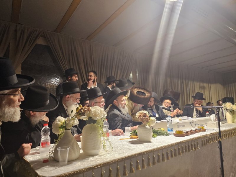 באדיבות המצלם