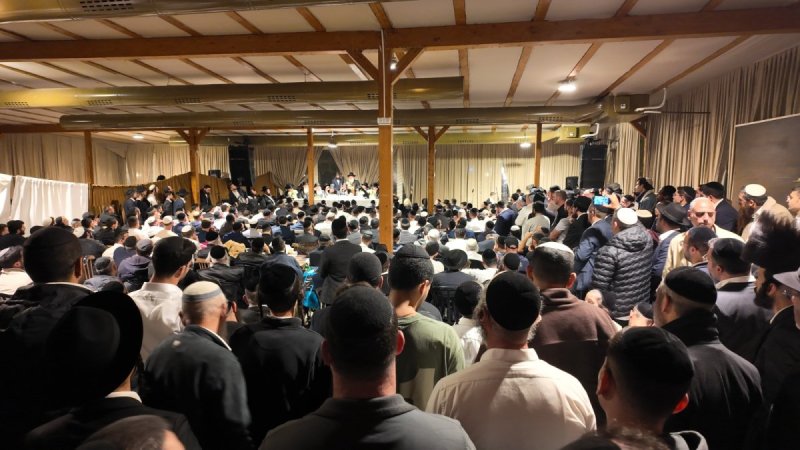 באדיבות המצלם