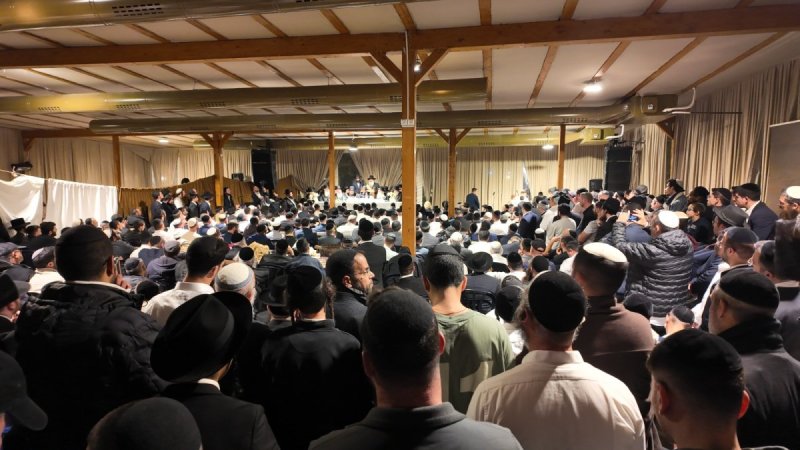 באדיבות המצלם