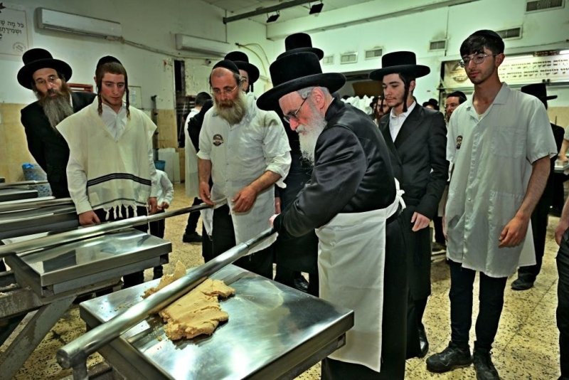 יהושע פרוכטר