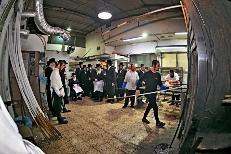 יהושע פרוכטר