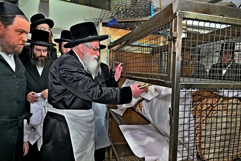 יהושע פרוכטר