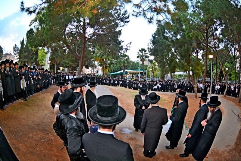 יהושע פרוכטר