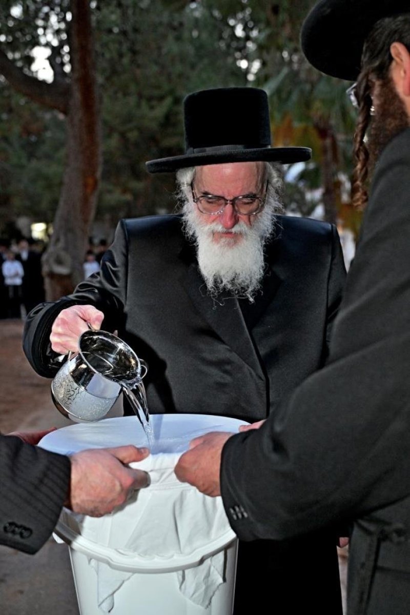 יהושע פרוכטר