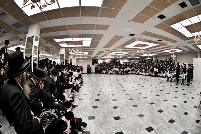 יהושע פרוכטר