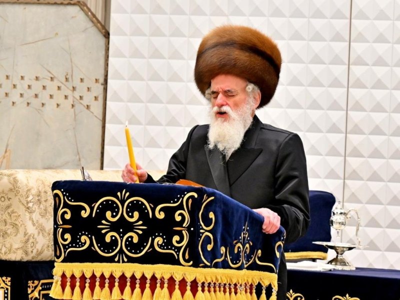 יהושע פרוכטר