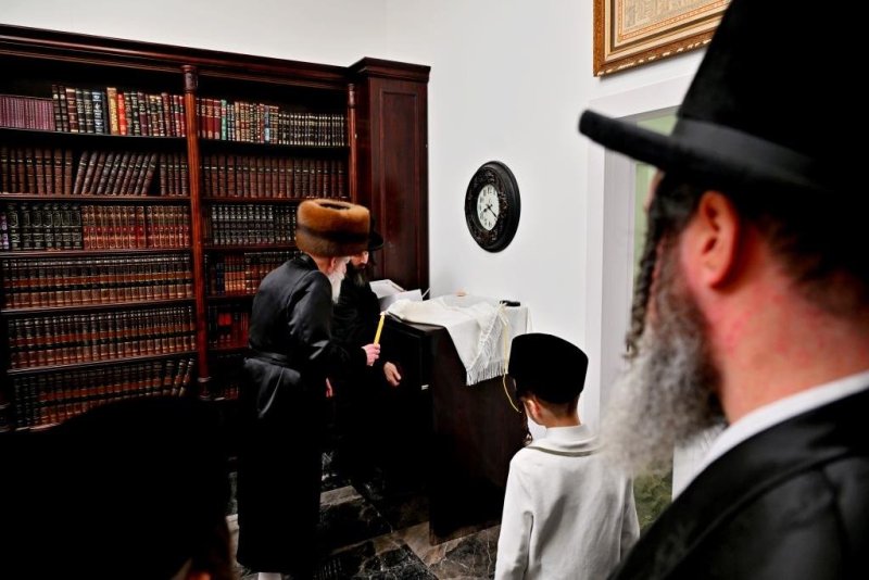 יהושע פרוכטר