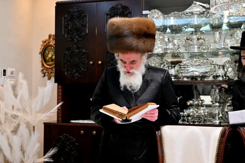 יהושע פרוכטר