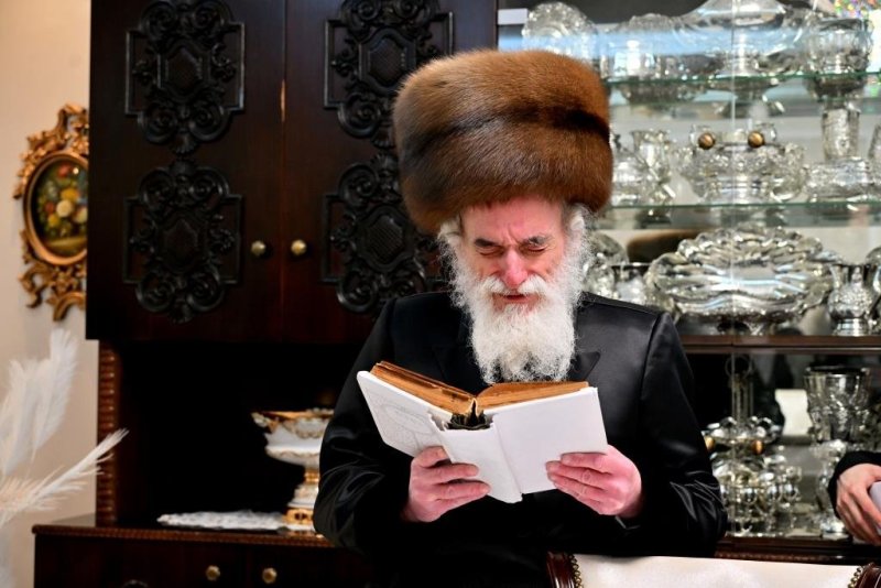 יהושע פרוכטר