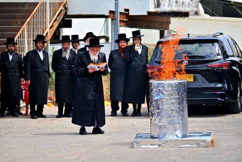 יהושע פרוכטר