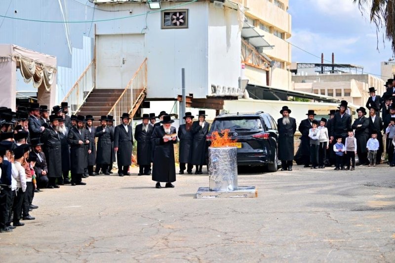 יהושע פרוכטר