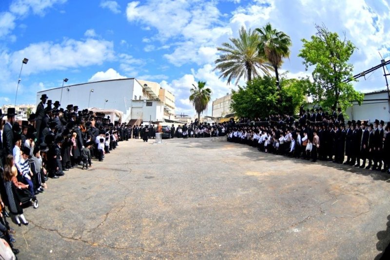 יהושע פרוכטר