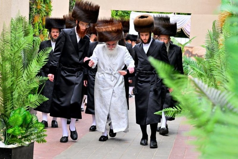 יהושע פרוכטר