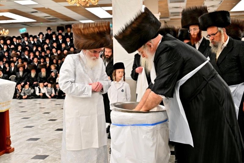 יהושע פרוכטר