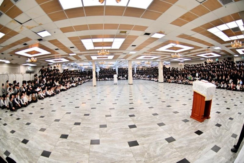 יהושע פרוכטר