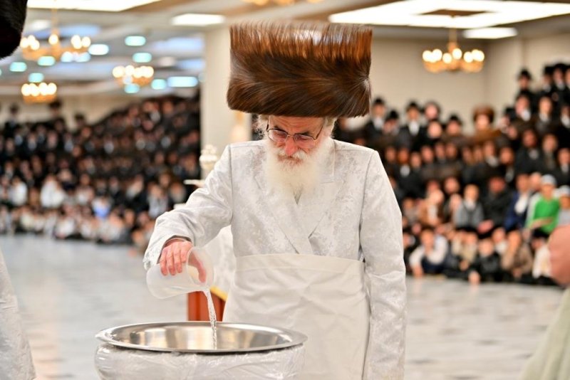 יהושע פרוכטר