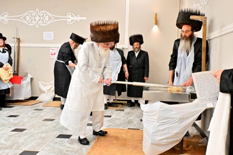 יהושע פרוכטר