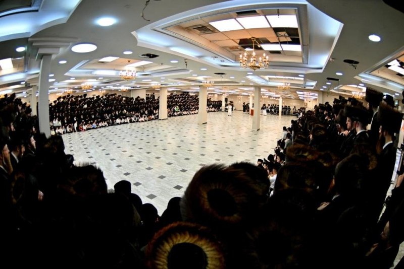 יהושע פרוכטר