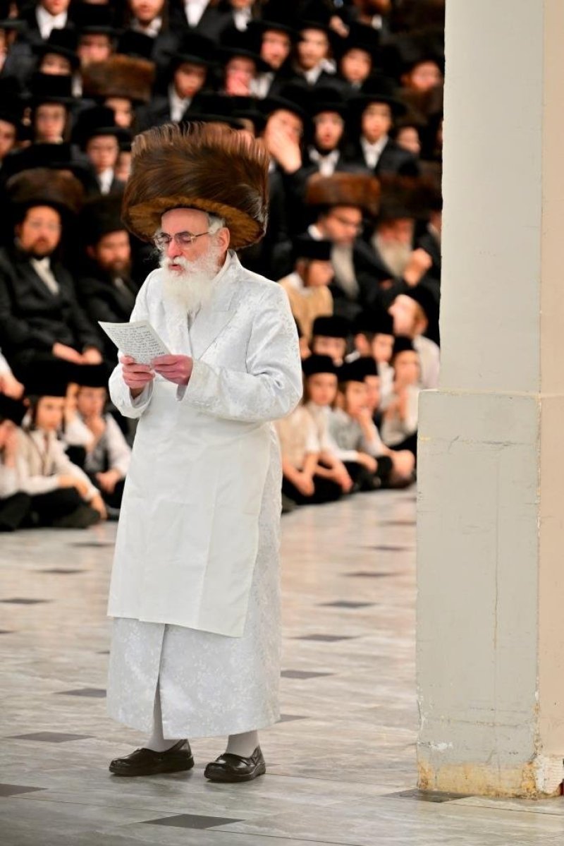 יהושע פרוכטר