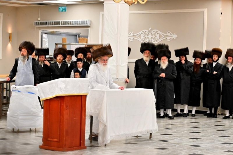 יהושע פרוכטר