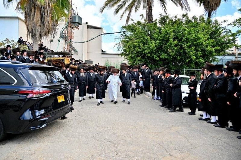 יהושע פרוכטר