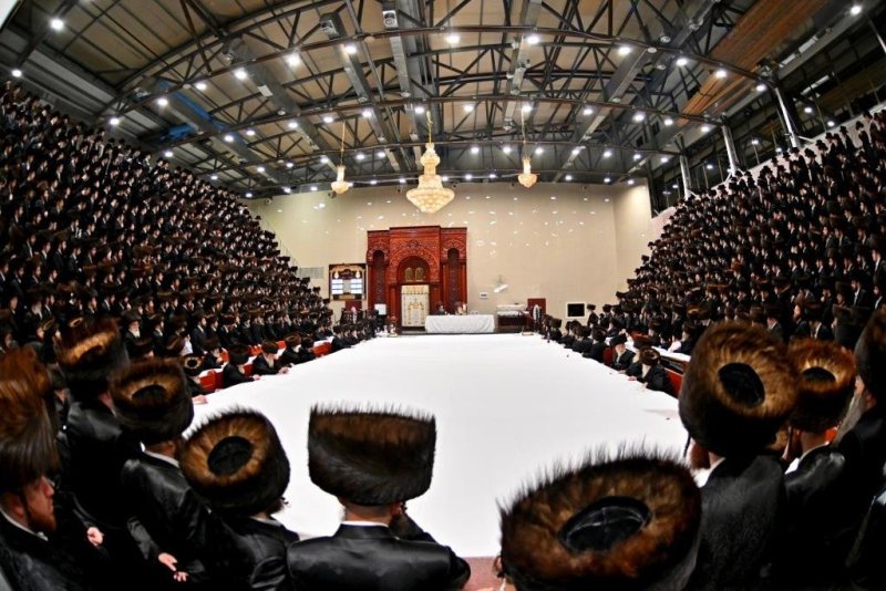 יהושע פרוכטר