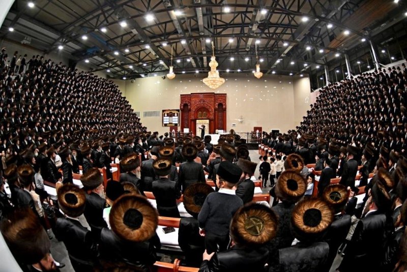 יהושע פרוכטר