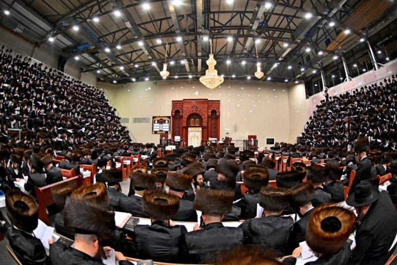 יהושע פרוכטר