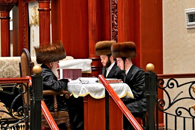 יהושע פרוכטר