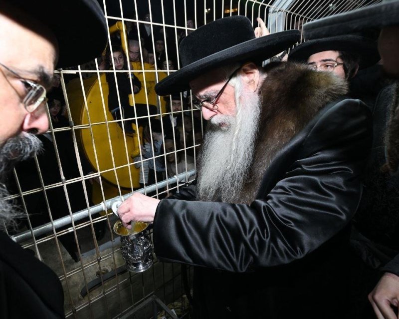 משה גולדשטיין