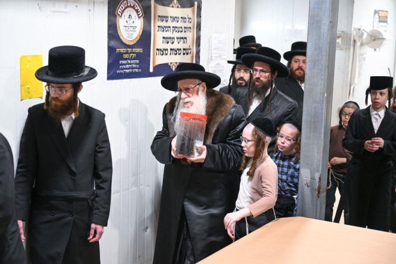 משה גולדשטיין