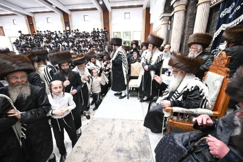 משה גולדשטיין