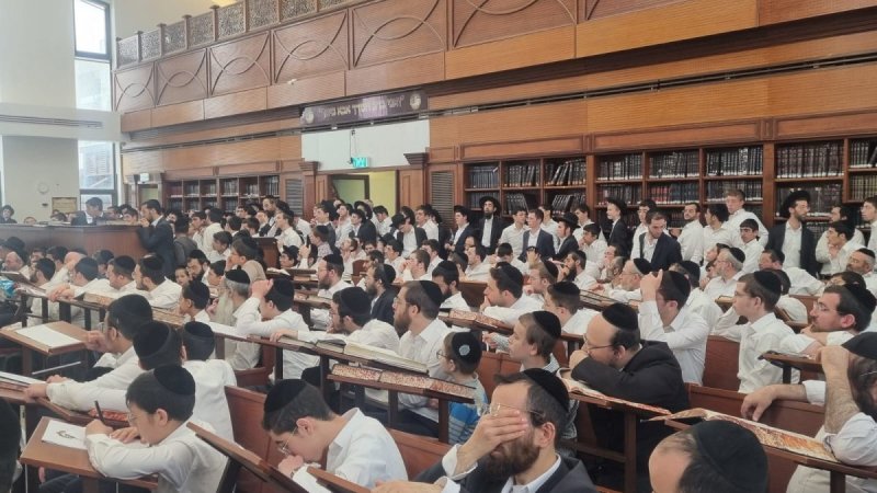 גד שקד וסופר סטודיו