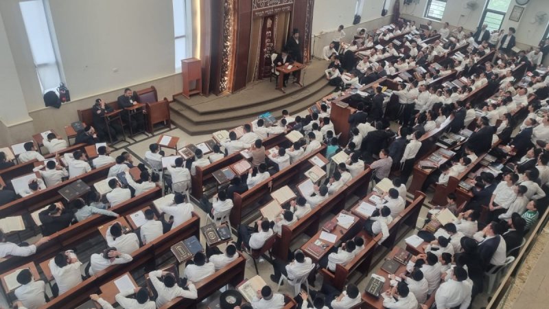 גד שקד וסופר סטודיו