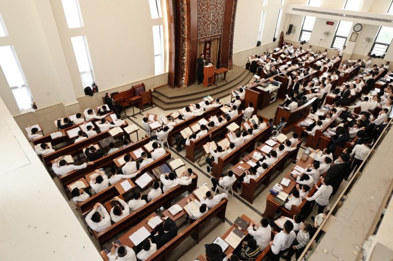 גד שקד וסופר סטודיו