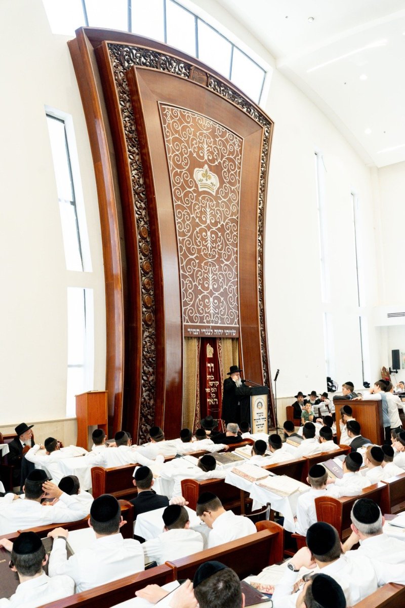 גד שקד וסופר סטודיו