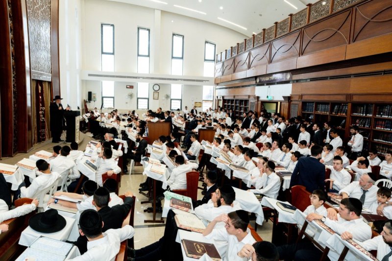 גד שקד וסופר סטודיו