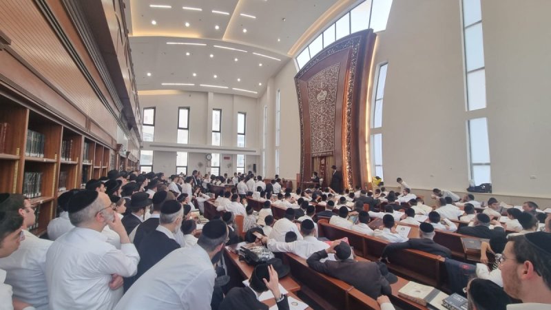 גד שקד וסופר סטודיו