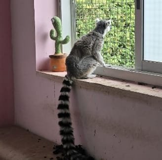  דוברות משטרת ישראל ודוברות רט"ג