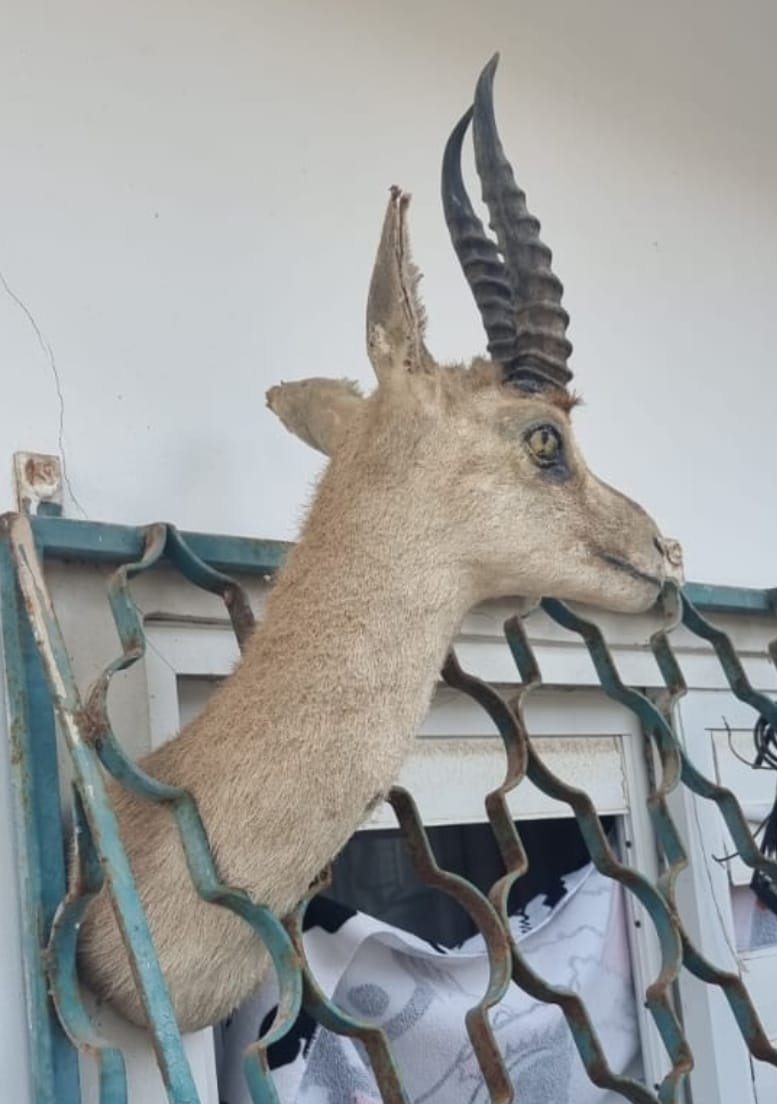  דוברות משטרת ישראל ודוברות רט"ג