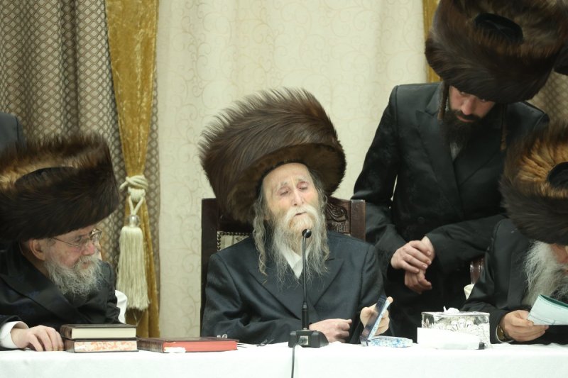 שלומי טריכטר