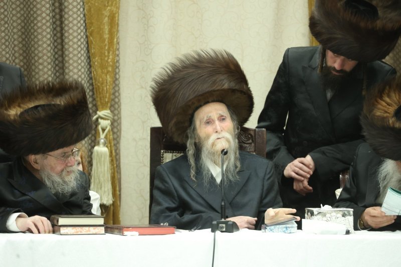 שלומי טריכטר