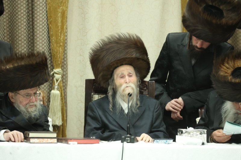 שלומי טריכטר