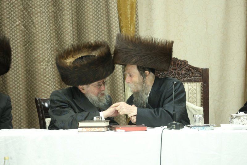 שלומי טריכטר