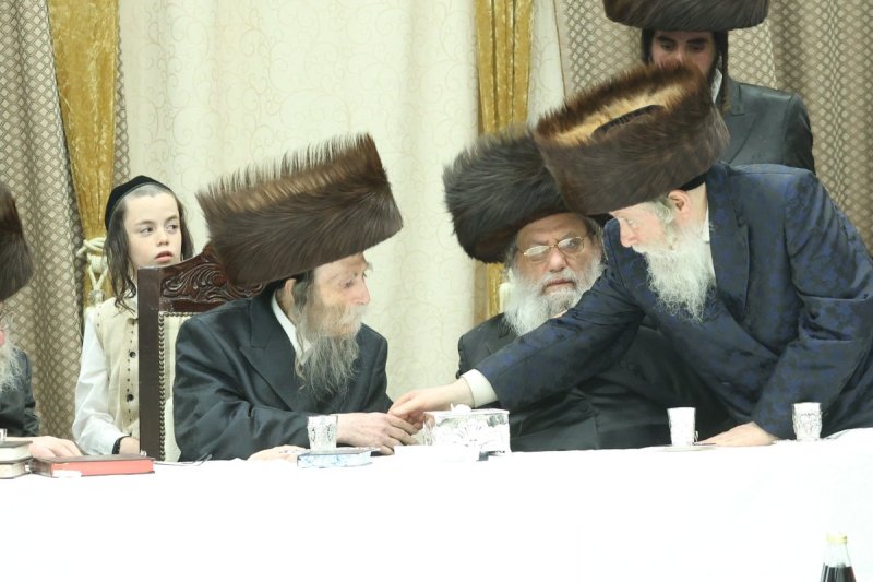 שלומי טריכטר